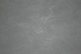Missing Picture